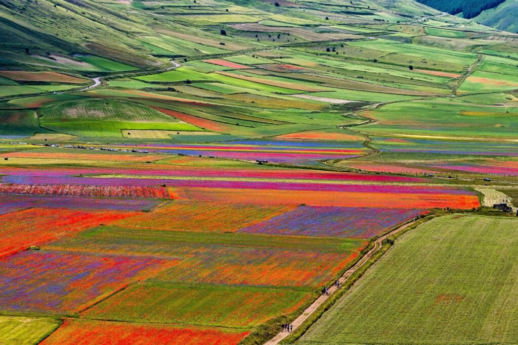 Castelluccio Di Norcia Guida Alla Fioritura Quando Andare E Cosa Vedere