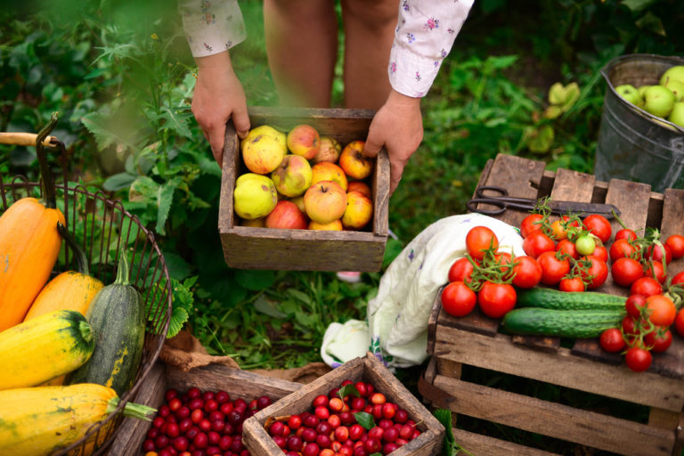 10 Consigli Per Unalimentazione Sostenibile E Sana Habitante 9025