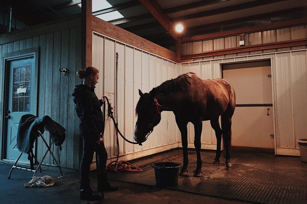 Quanto costa tenere un cavallo a casa?