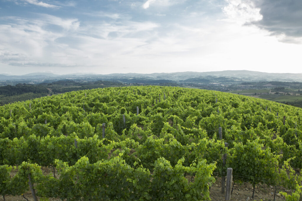 Castello di Monsanto