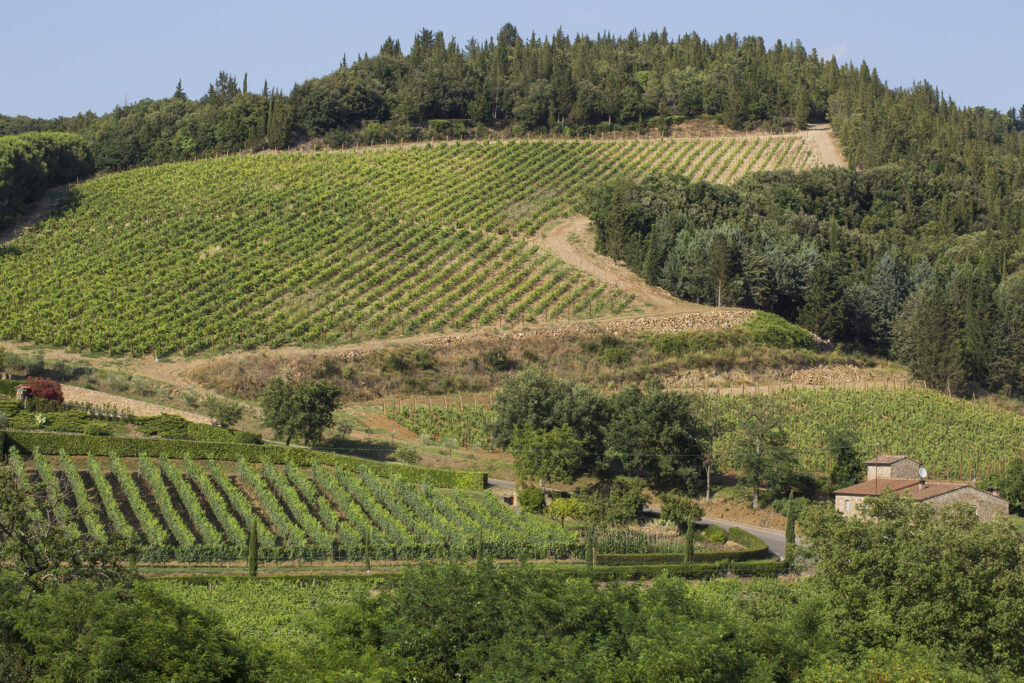 Castello di Monsanto