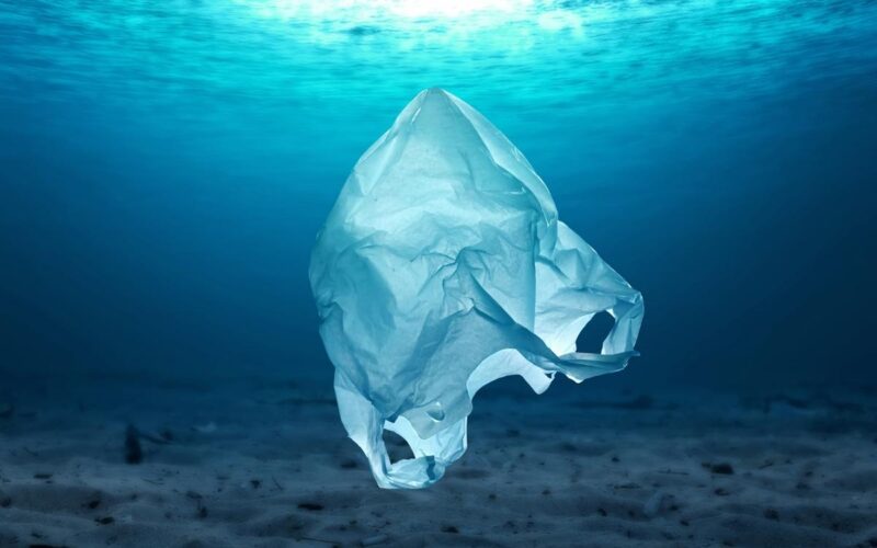 Un pianeta senza plastica: l’obiettivo dell’Earth Day celebrato in 192 Paesi