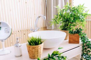 10 piante per arredare il bagno