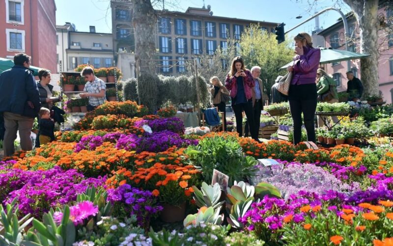 Milano in fiore con Floralia, la sagra delle piante in mostra a Brera