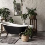 10 piante per arredare il bagno|10 piante per arredare il bagno|10 piante per arredare il bagno|10 piante per arredare il bagno|10 piante per arredare il bagno|10 piante per arredare il bagno||10 piante per arredare il bagno