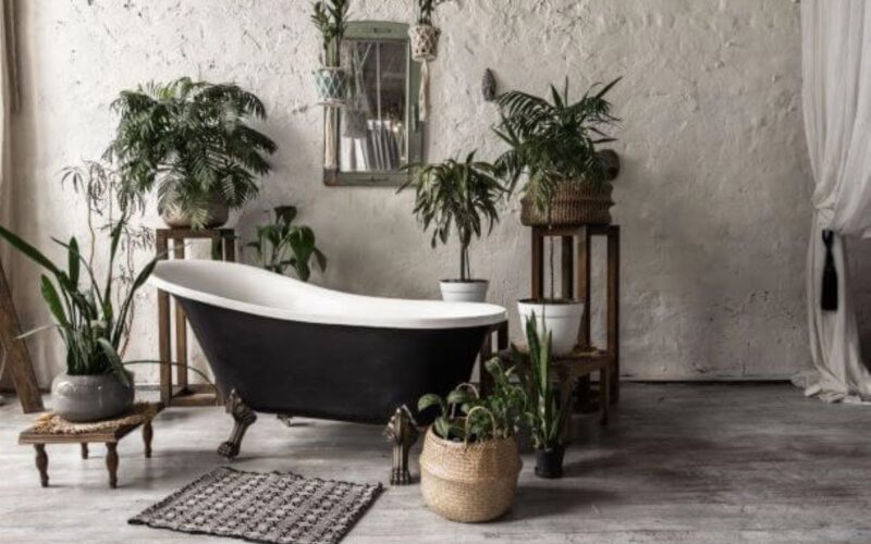 10 piante per arredare il bagno|10 piante per arredare il bagno|10 piante per arredare il bagno|10 piante per arredare il bagno|10 piante per arredare il bagno|10 piante per arredare il bagno||10 piante per arredare il bagno