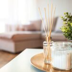 5 piante profumate per aromatizzare gli ambienti di casa|5 piante profumate per aromatizzare gli ambienti di casa|5 piante profumate per aromatizzare gli ambienti di casa