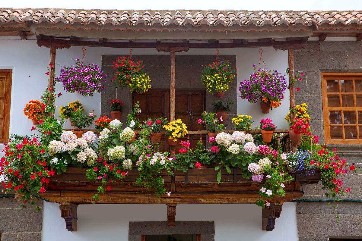 Abbellire il balcone con i fiori