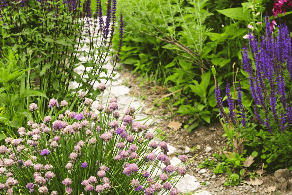 piccoli giardini da copiare