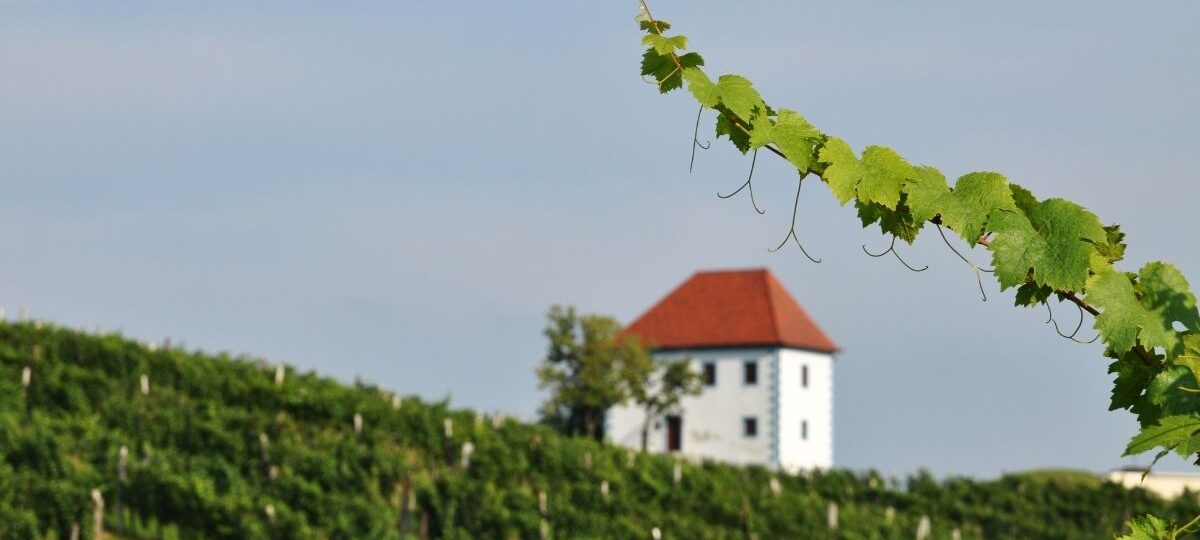 Acquistare casa tra i vigneti