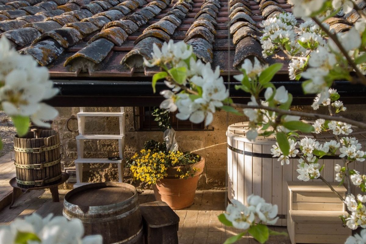 Agriturismi biologici in Toscana