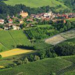 Alla scoperta di Barolo: il gioiello del Piemonte famoso per il suo vino|Alla scoperta di Barolo vino Piemonte|Alla scoperta di Barolo vino Piemonte cantine|Barolo vino Piemonte cantine|Barolo vino brasato