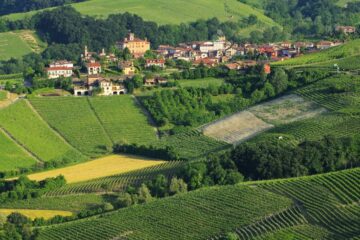 Alla scoperta di Barolo: il gioiello del Piemonte famoso per il suo vino