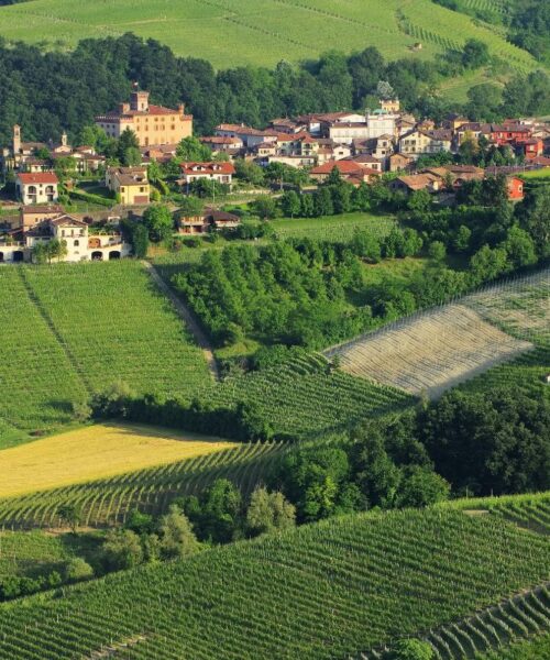 Alla scoperta di Barolo: il gioiello del Piemonte famoso per il suo vino