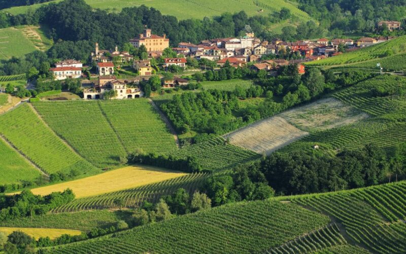 Alla scoperta di Barolo: il gioiello del Piemonte famoso per il suo vino