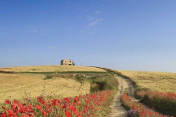 Ampliare una fattoria in maniera moderna e armoniosa con l’ambiente circostante