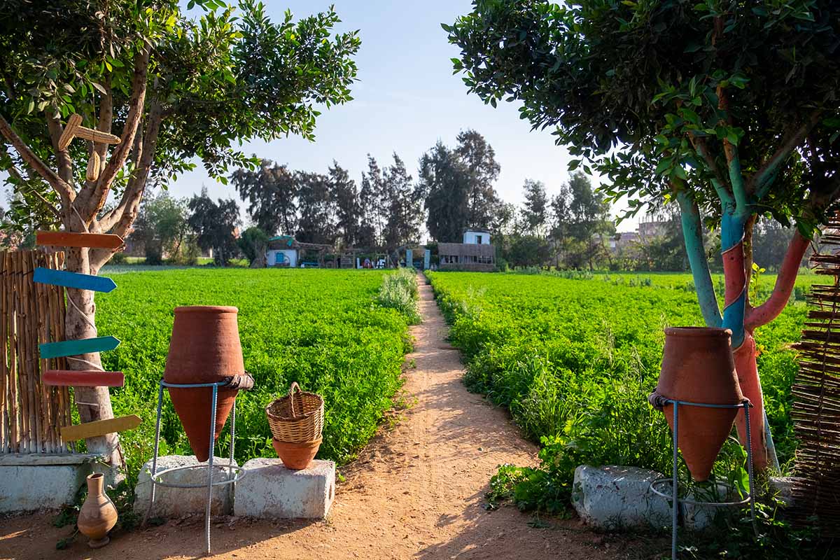 vivere in campagna senza soldi