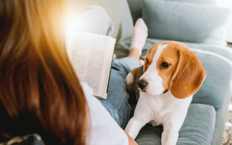 Arriva bonus animali domestici 2024: incentivi per la cura degli animali in casa