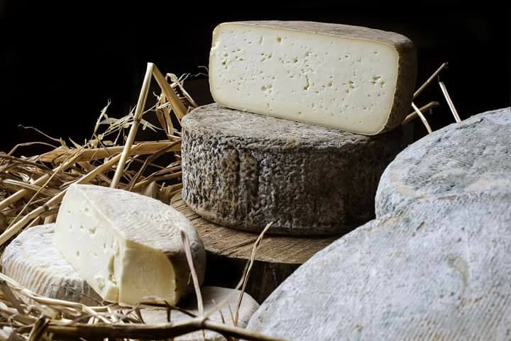 Azienda agricola Saba: un pecorino anti-colesterolo che ha il sapore della tradizione