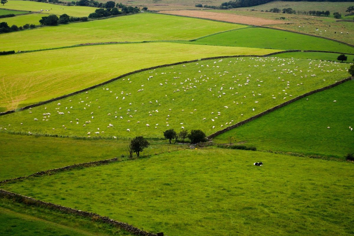 Billa Gates terreni agricoli agricoltura sostenibile investimento