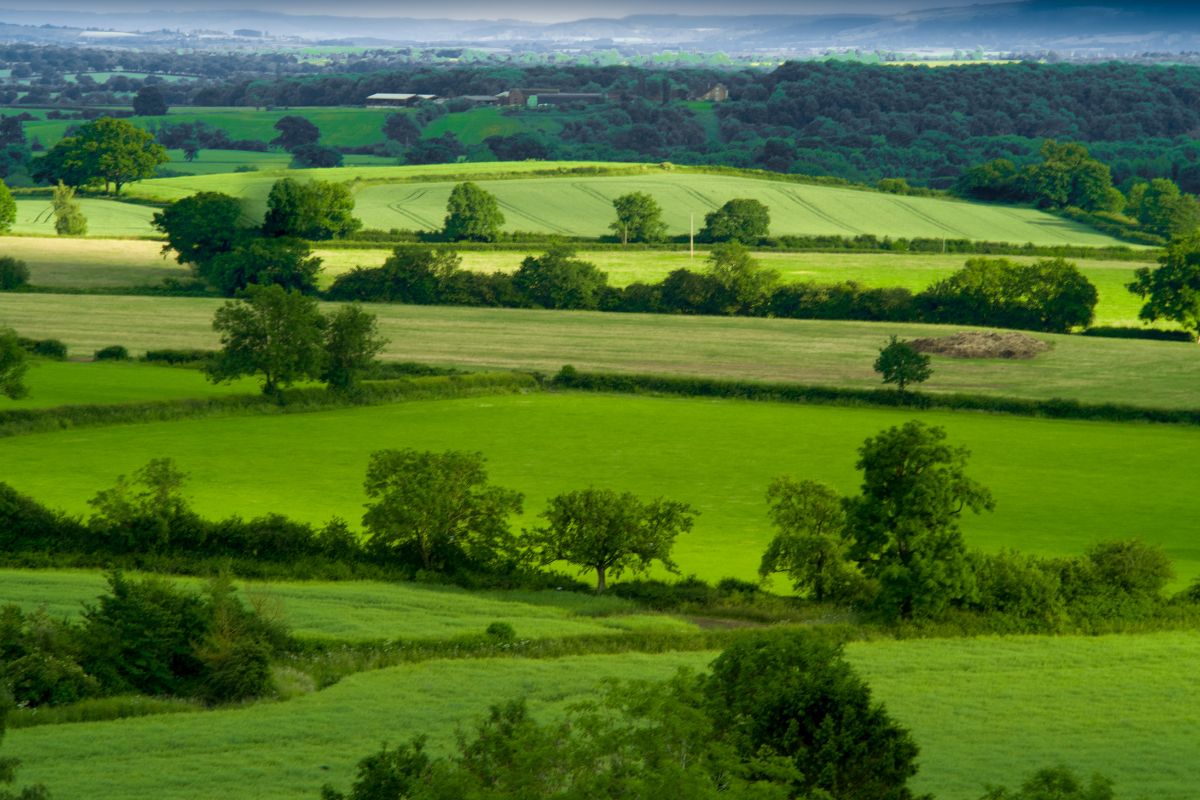 decreto agricoltura 