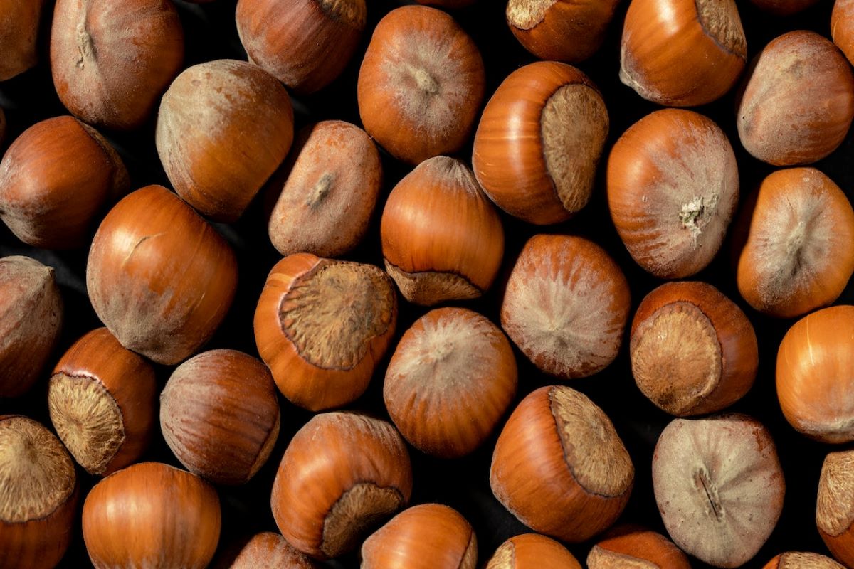 Castagne raccolte nel Sud Italia