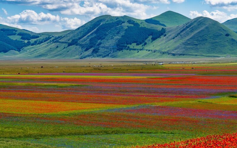 Quando andare a Castelluccio di Norcia per la fioritura: Guida pratica e consigli utili