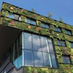 cappotto verde per edifici|Green building - di cosa si tratta