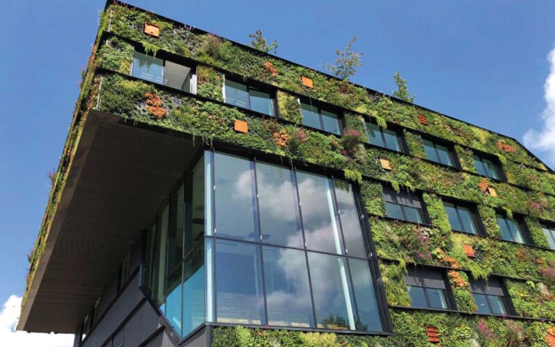 cappotto verde per edifici|Green building - di cosa si tratta