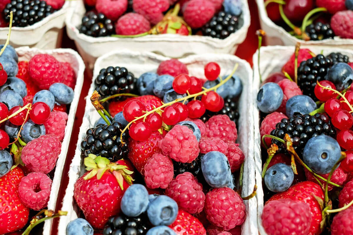 coltivare frutti di bosco giardino 