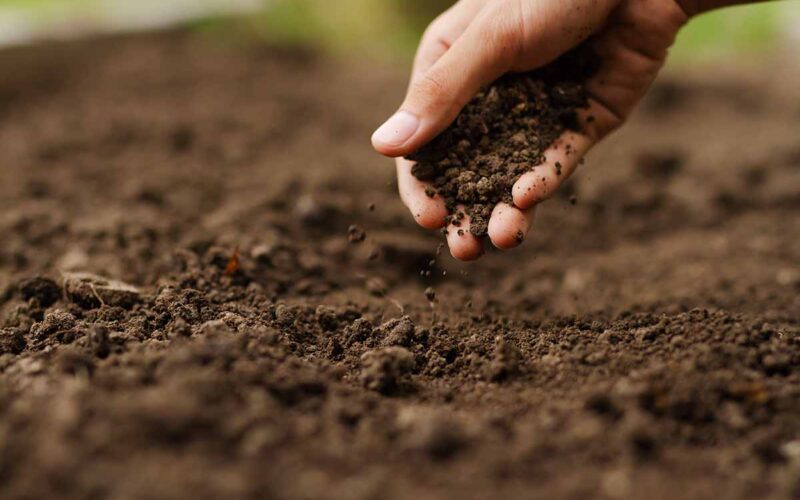 Come conservare i preparati biodinamici|Come conservare i preparati biodinamici|Come conservare i preparati biodinamici