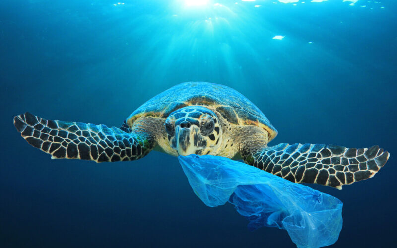 plastica in mare - oceani di plastica|plastica in mare - oceani di plastica