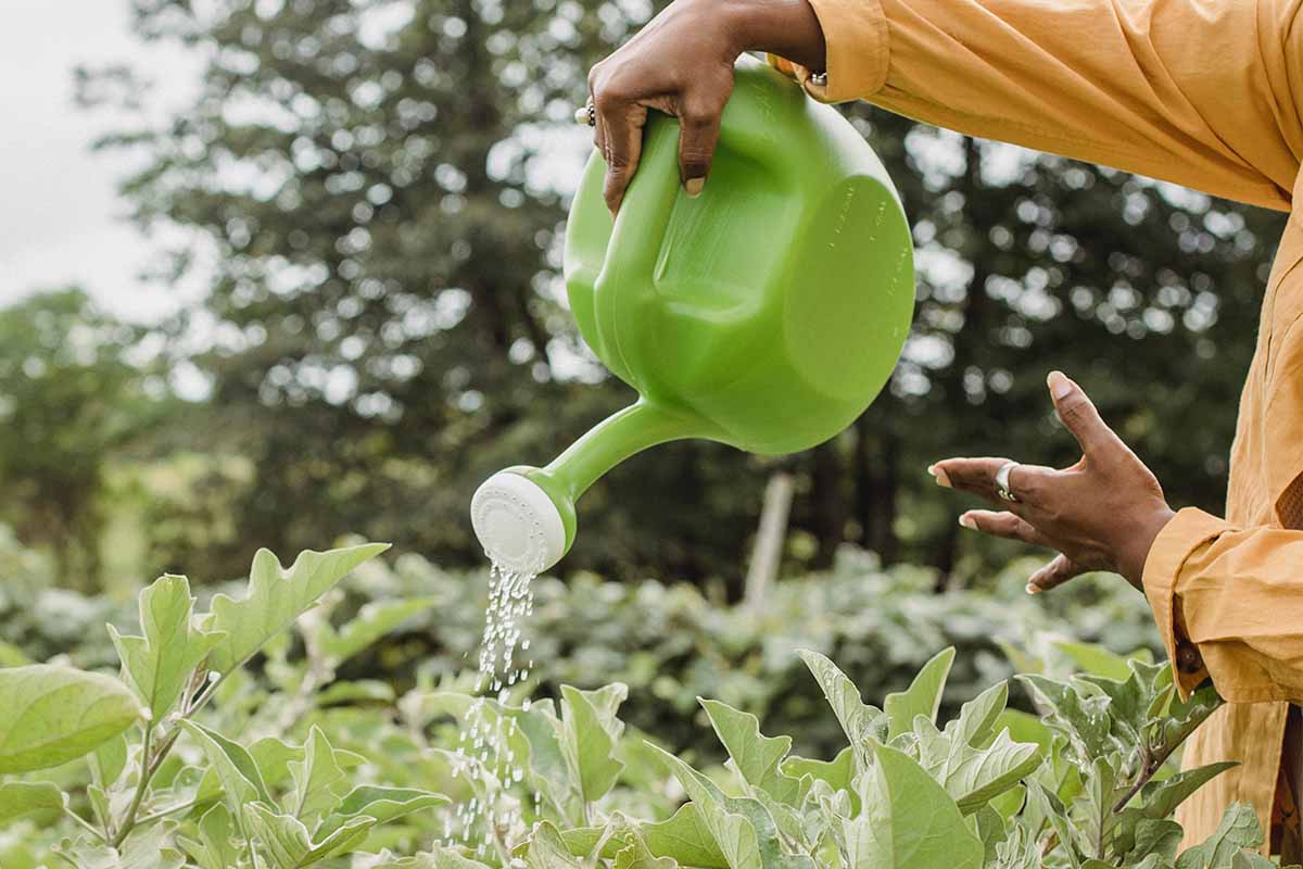 l'acqua del condizionatore