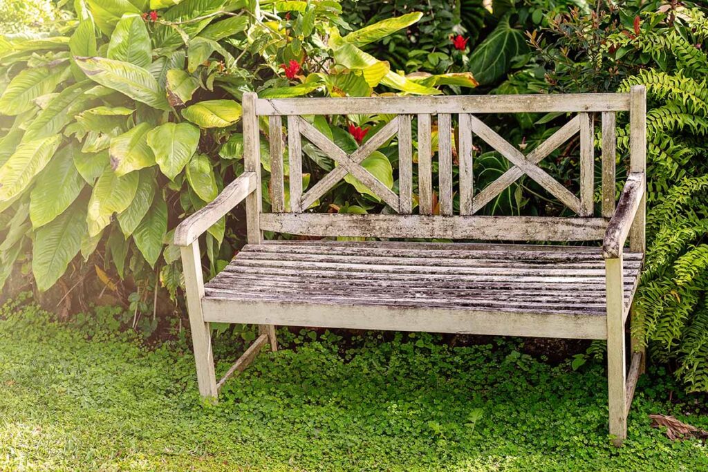 Come rimuovere la muffa dagli arredi da giardino