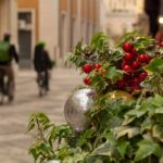 Come si festeggia il Natale nelle regioni d'Italia|Come si festeggia il Natale nelle regioni d'Italia|Come si festeggia il Natale nelle regioni d'Italia|Come si festeggia il Natale nelle regioni d'Italia|Come si festeggia il Natale nelle regioni d'Italia|Come si festeggia il Natale nelle regioni d'Italia|Come si festeggia il Natale nelle regioni d'Italia|Come si festeggia il Natale nelle regioni d'Italia|Come si festeggia il Natale nelle regioni d'Italia