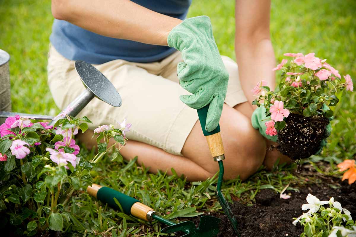 Come sistemare il giardino trascurato di casa in 5 semplici passi