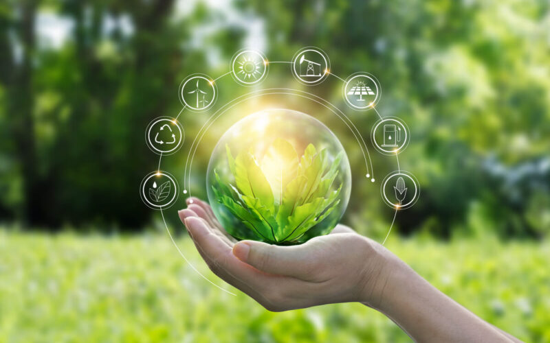 la startup dell'efficienza energetica idee green energia sostenibile