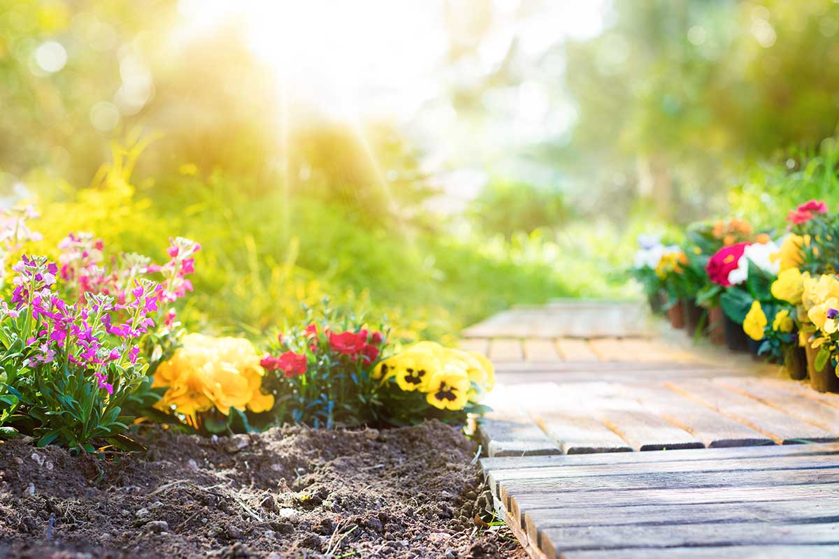 Consigli e idee per il tuo giardino di primavera