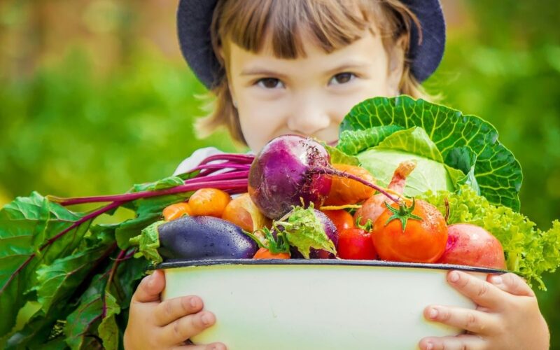 Cos’è l’educazione alimentare