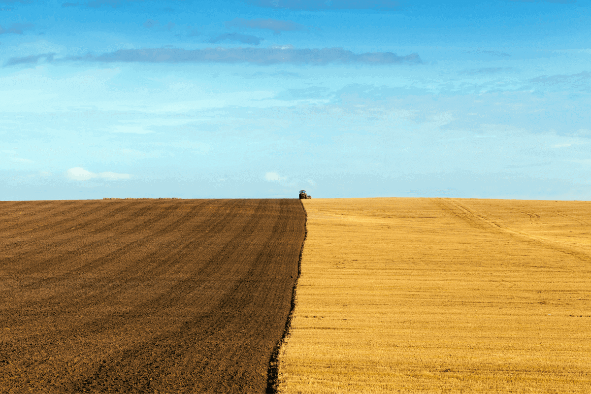 dove la terra costa meno