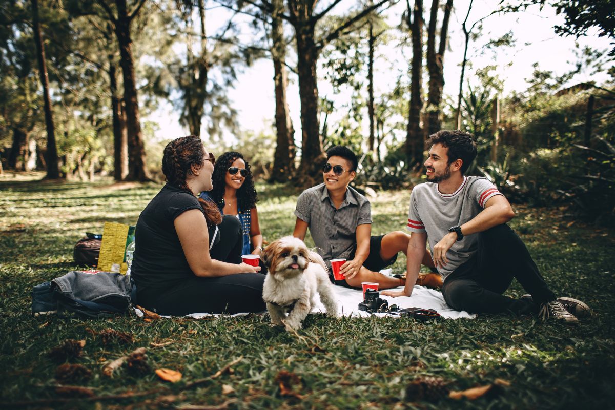 Dove organizzare un pic nic Roma per Pasqua e Pasquetta guida provincia per provincia