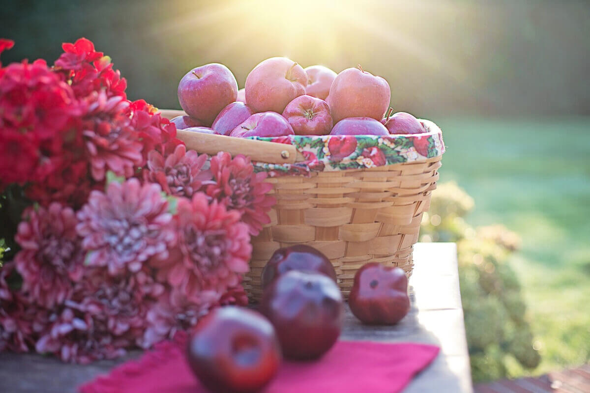 Picnic Pasqua Toscana 