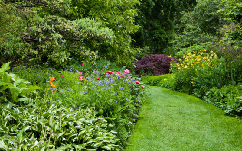 Consigli per eliminare le erbacce dal giardino