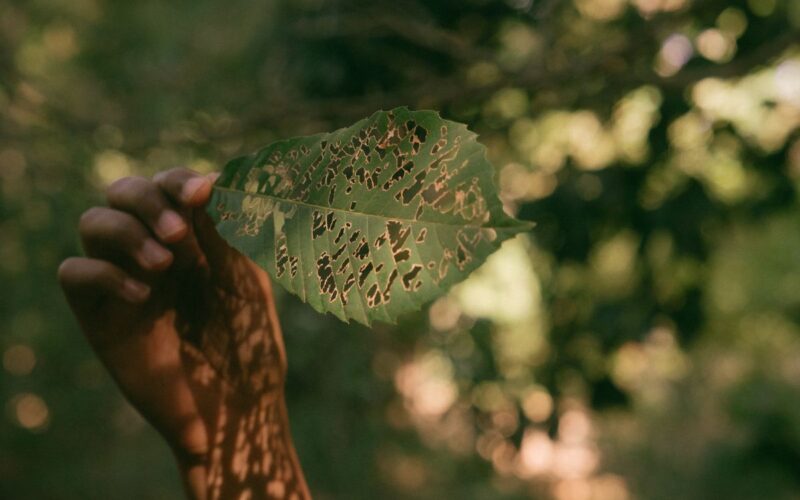 False ESG: narrazioni aziendali (in)autentiche? Dibattito su sostenibilità e greenwashing