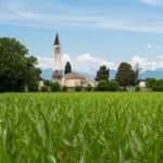 Ferragosto Friuli Venezia Giulia|Ferragosto Friuli Venezia Giulia trieste|