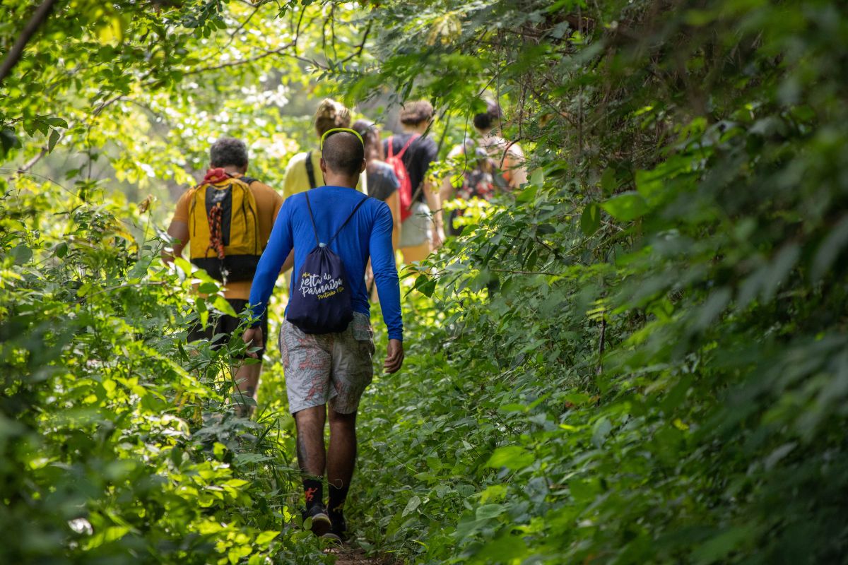 Ferragosto Friuli Venezia Giulia bosco