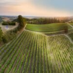 Ferragosto in Piemonte|Ferragosto Torino