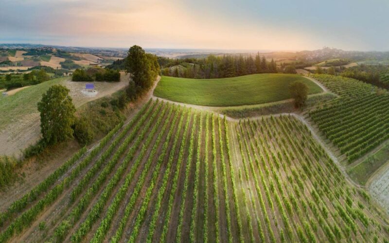 Ferragosto in Piemonte|Ferragosto Torino