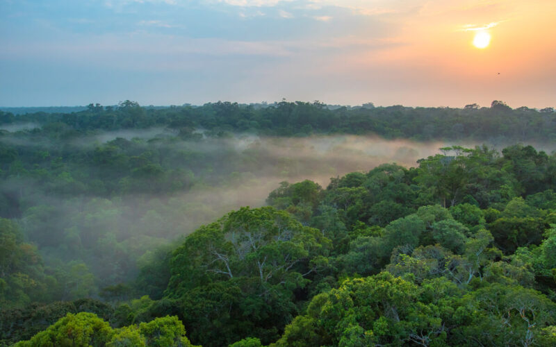 Foresta amazzonica