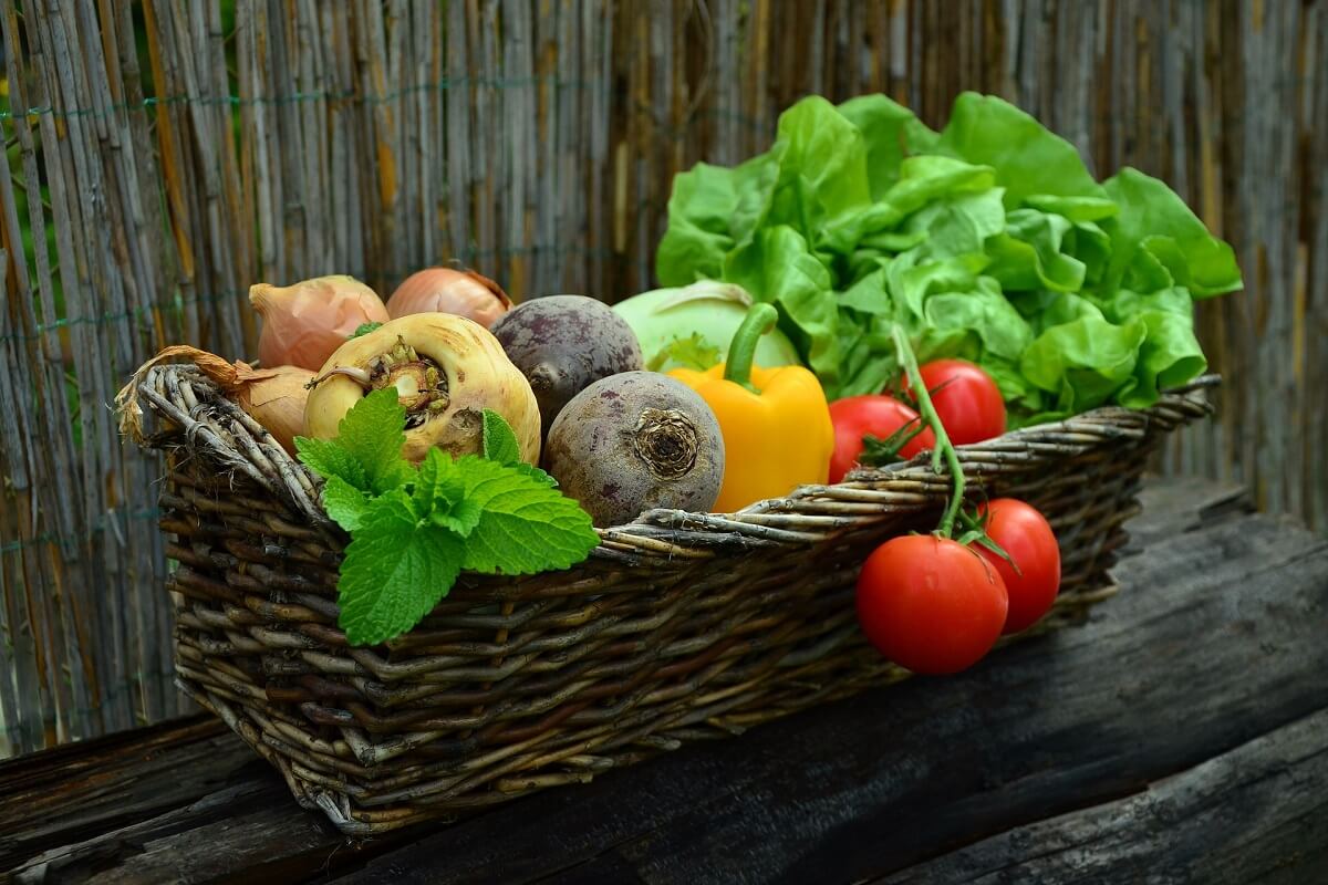 Gas cassetta di frutta